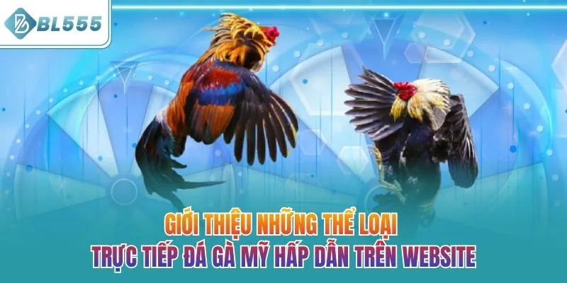 Giới thiệu những thể loại trực tiếp đá gà Mỹ hấp dẫn trên website